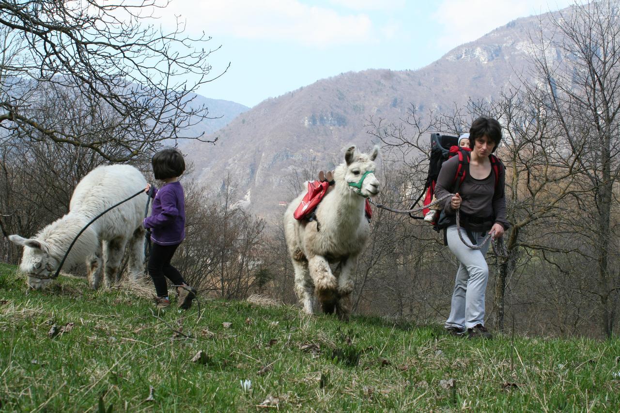 Il Capriolo Felice - Agriturismo Lastebasse Εξωτερικό φωτογραφία
